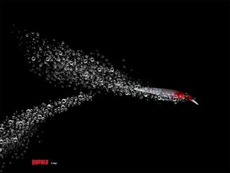 Rapala Wallpaper