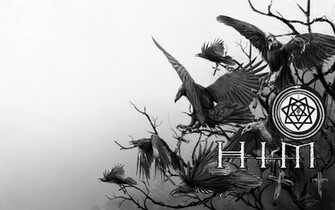 Him Raven Wallpaper By Patrike Customization Animals Plants