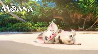 Moana 4k HD Wallpaper High Resolution Pua