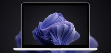 New Windows Wallpaper In Pantone Color
