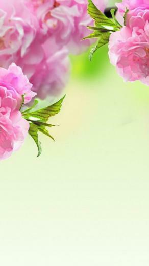 Cute Spring Phone Wallpaper HD