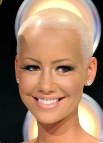 Amber Rose Wallpaper Plants Roses HD Art