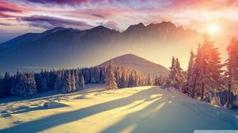 Winter Pics For Wallpaper Image