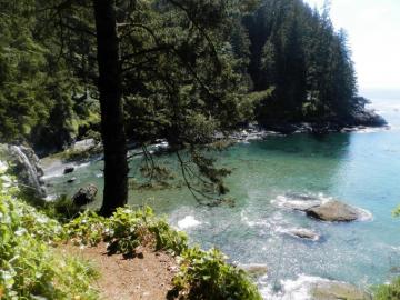 Sombrio Cove Juan De Fuca Trail Vancouver Island Bc HD Wallpaper