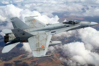 Hornet Wallpaper F
