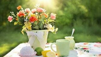Summer Flowers Pot Wallpaper HD