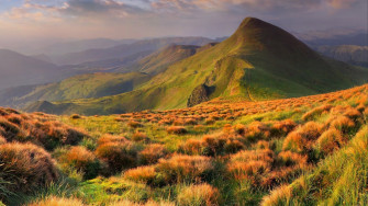 Beautiful Wallpaper