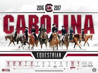 South Carolina Gamecocks Baseball Wallpaper