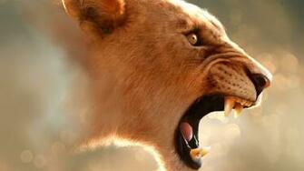 Lioness Wallpaper