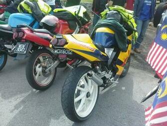 Yamaha Tzm Picture