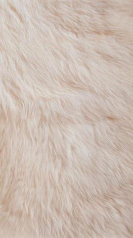 Cream Fur Texture Tap To See More Fluffy Wallpaper Mobile9