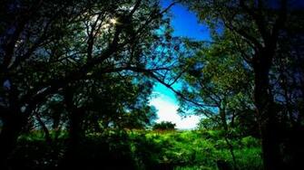 Abstract HD Wallpaper Subcategory Photography