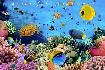 Aquarium Live Wallpaper Android Apps And Tests Androidpit