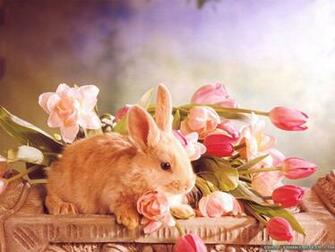 Easter Screensavers Pictures Wallpaper Background