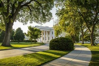 White House Sidewalk Wallpaper