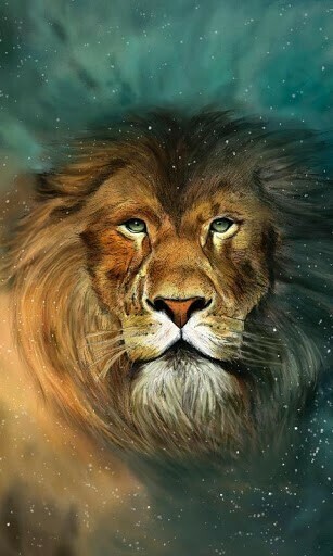 Aslan Wallpaper And Theme Application