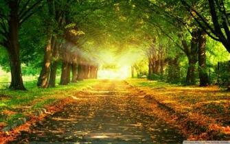 Path Wallpaper