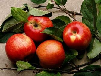Apples Wallpaper Stock Photos