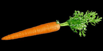 Carrots Juice Therapy