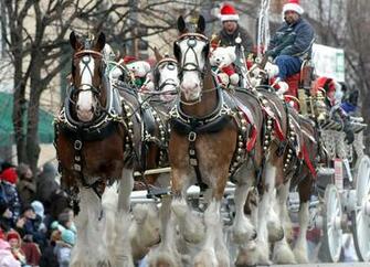 Christmas Celebrations People Travel Afar To See This Time Honored