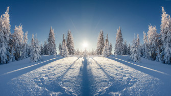 HD Wallpaper Snow 8k Tree Forest Winter Landscape