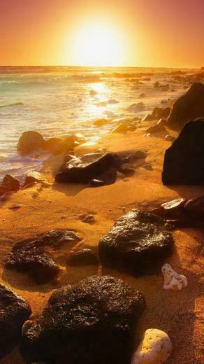 Summer Beautiful Sunset iPhone 5s Wallpaper