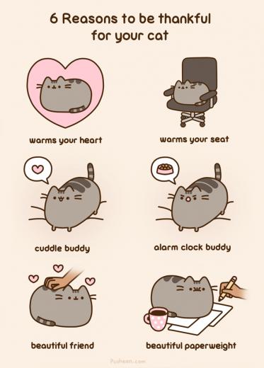 Pusheen Reasons To Be Thankful For Your Cat