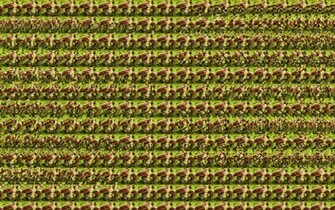 Stereogram Wallpaper 3d Calendar For