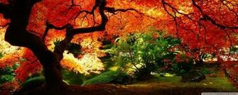 Beautiful Autumn 4k HD Desktop Wallpaper For Dual Monitor