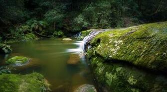 Wallpaper Zen Garden Filesize Pictures To Pin