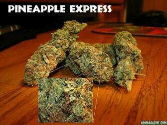 Pineapple Express Wallpaper