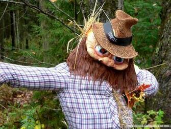 Autumn Display Scarecrow Pumpkins Wallpaper Season Urgly
