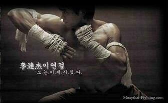 Muay Thai Day