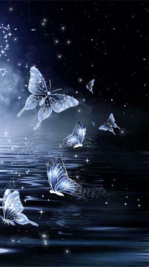 Midnight Butterfly Wallpaper By Unknown Artist Whimsy In