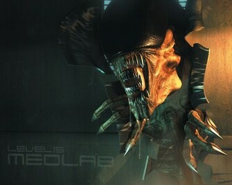 Alien Vs Predator Wallpaper On 3d Game