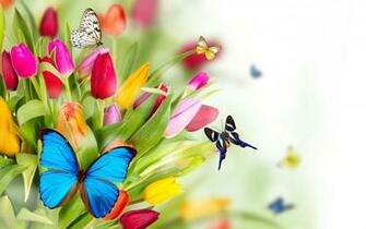 Spring Flowers Tulips Butterflies Bokeh Art Summer Wallpaper