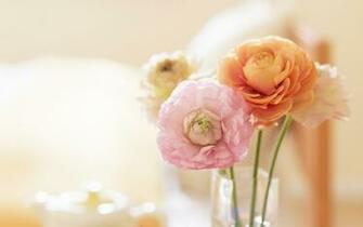 Delicate Flowers In A Vase Wallpaper And Image