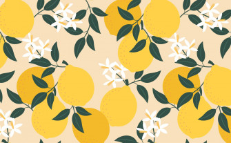 Top Lemon Wallpaper Full HD 4k To Use
