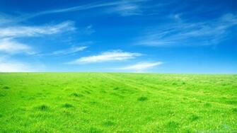 Grassland Wallpaper Green HD