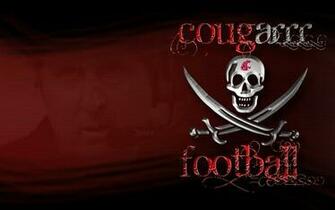 Cougar Pride My College