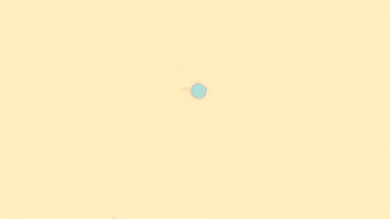 The Blended Orgasm Might Be Most Intense Possible