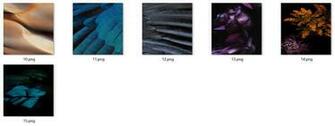 Did You Like These New Wallpaper In Ios Which One Is Your Favorite