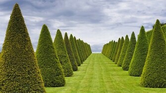 Versailles Wallpaper HD Background HDesktops
