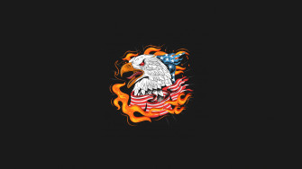 Us Eagle Bird Minimal 4k Wallpaper HD Artist
