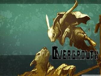 Overgrowth 4k HD Desktop Wallpaper For Tablet Smartphone