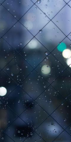 Wallpaper Motorola Rain Phone