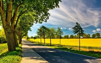 Bright And Sunny Natural Landscape HD Wallpaper