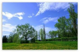 Summer Season HD Wallpaper For Standard Fullscreen Uxga Xga
