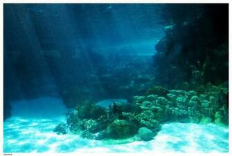 Underwater Ocean Wallpaper
