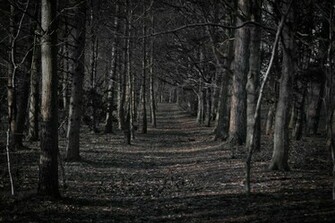 Scary Forest Cartoon Spooky Desktop Wallpaper